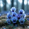 _violet_rain